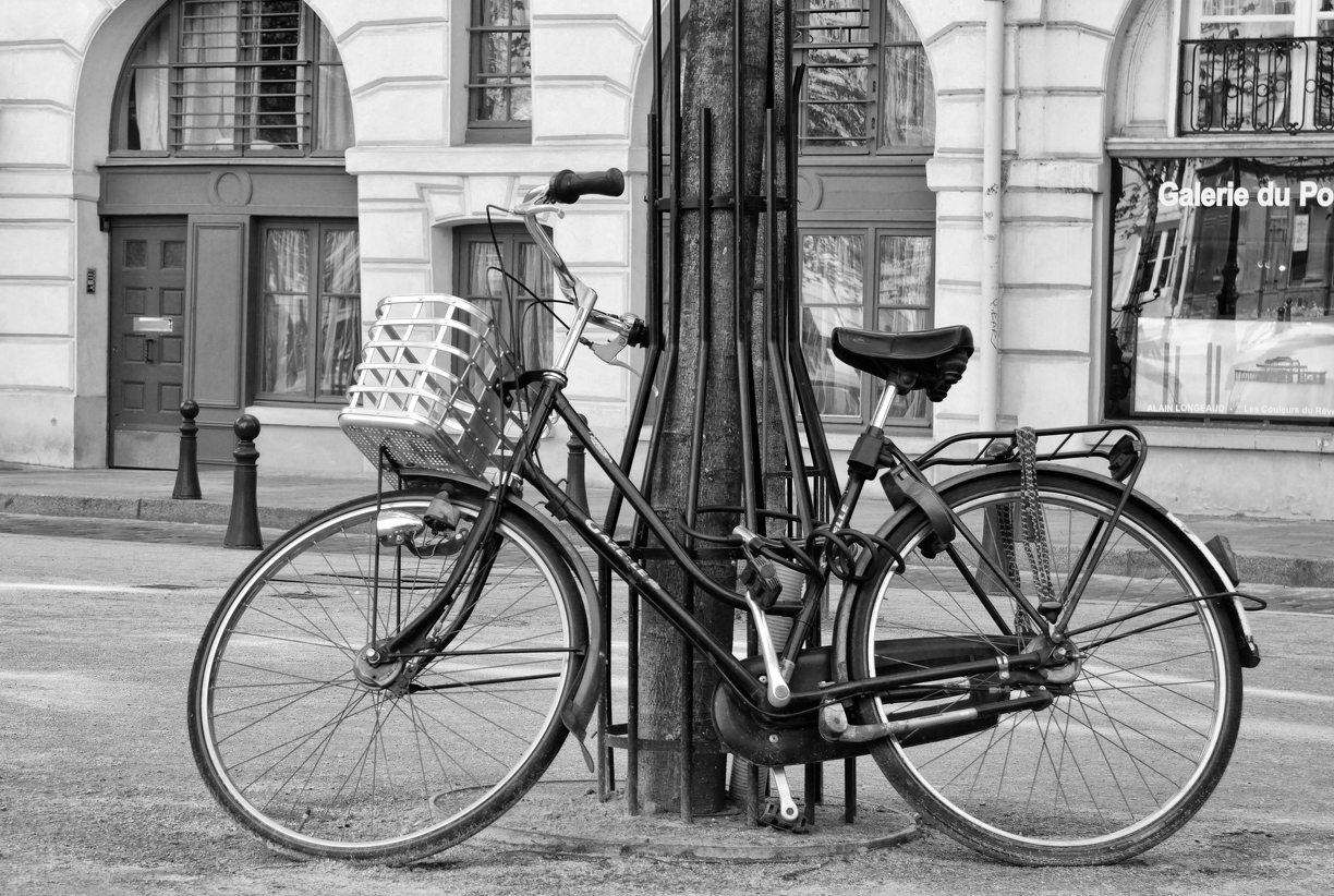 La gazelle Parisienne-.jpg