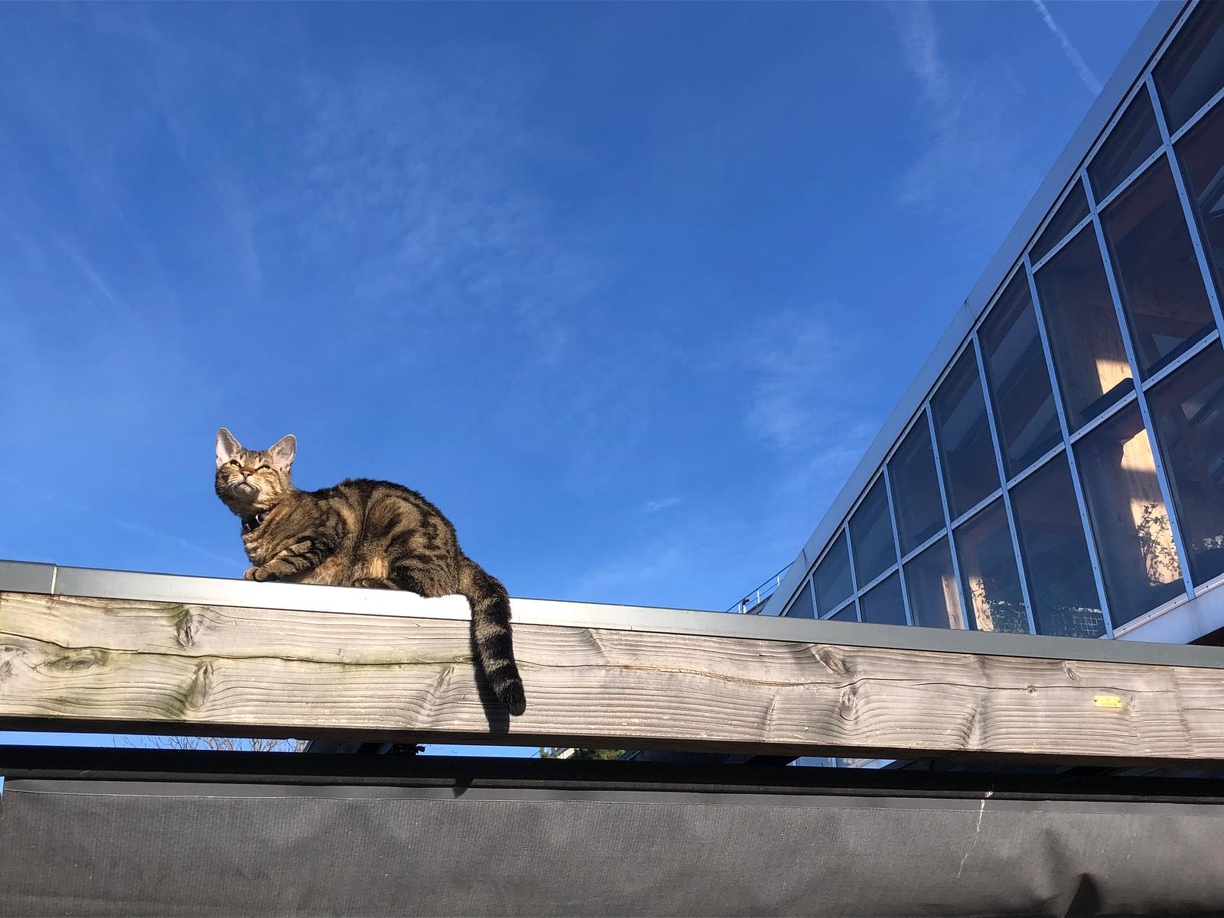 LR 1 PHOTO-2024-11-30-14-48-52.jpg